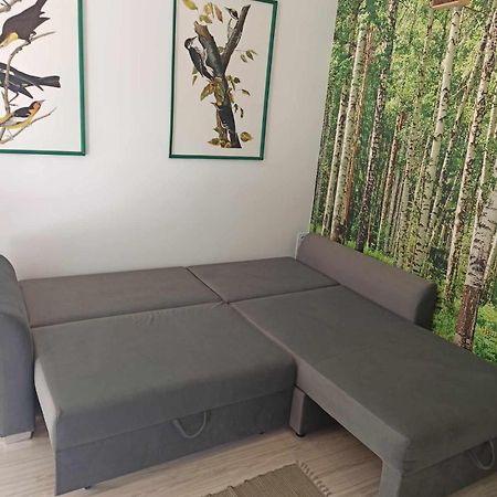 Studio Lesne Lubniewice Exteriér fotografie